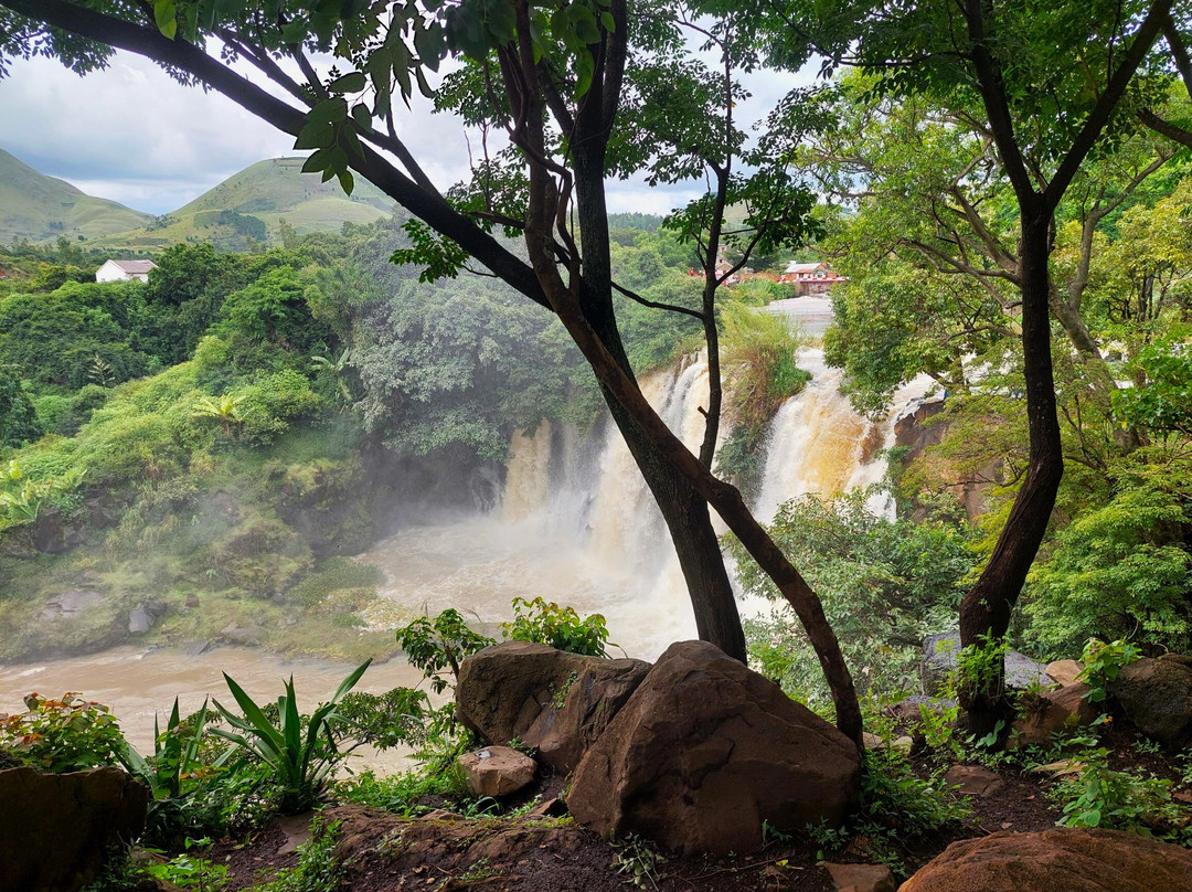 Lily Waterfall景点图片