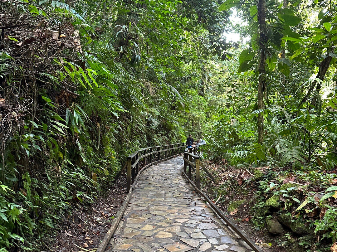 Guadeloupe National Park-Petit-Bourg必去景点