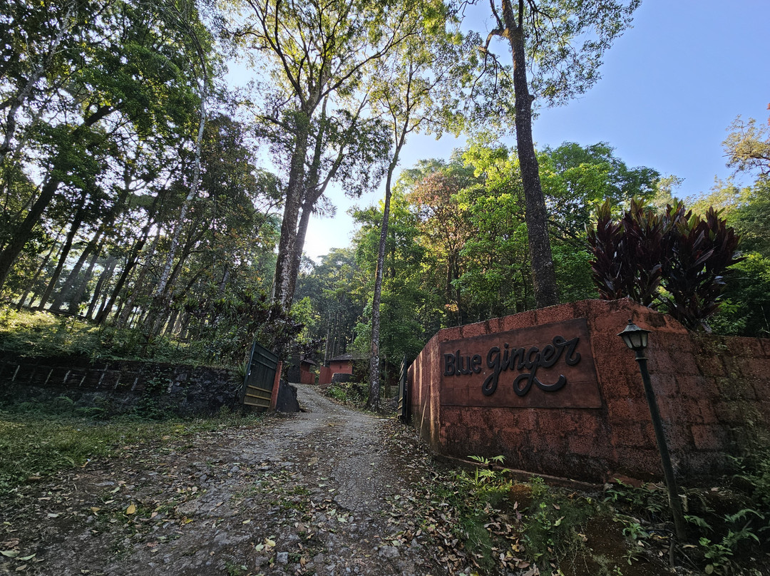 Blue Ginger Resort主图