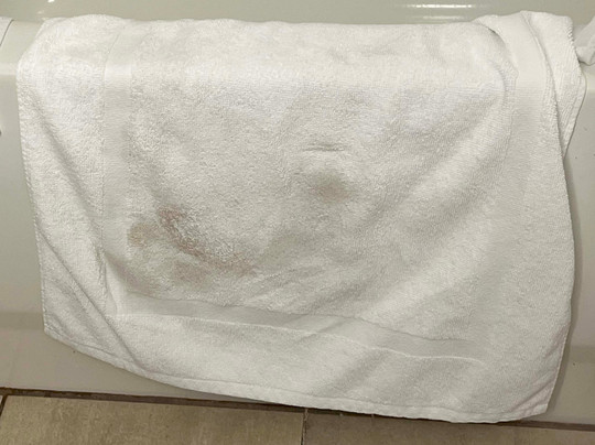 纽波特纽斯假日酒店及套房主图