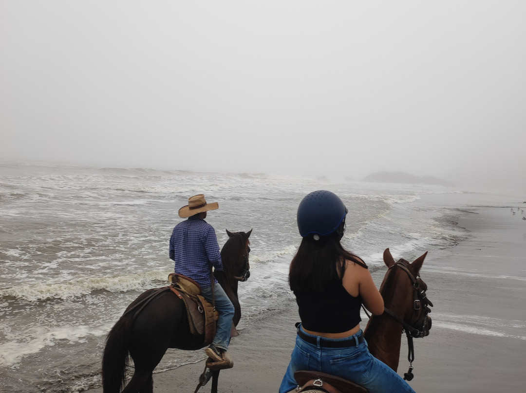 Cabalgatas-Santa Cruz de Flores必去景点