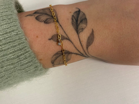 Featherlings-普兹茅斯必去景点