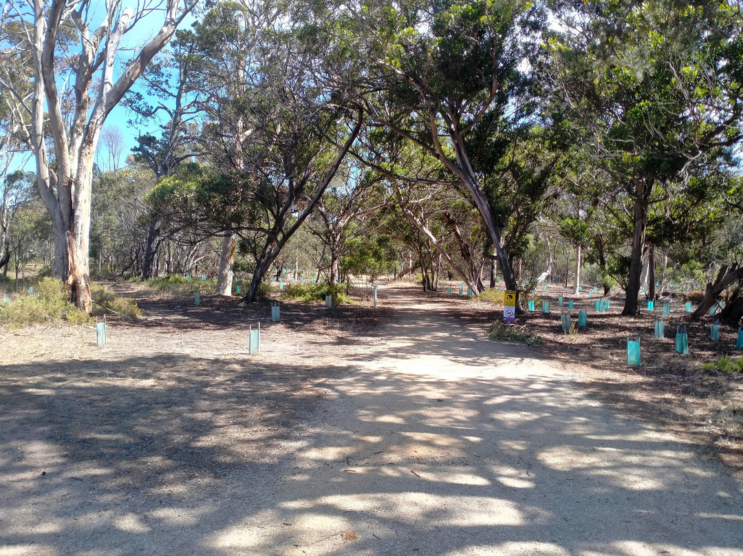 Taylor Park-托基必去景点