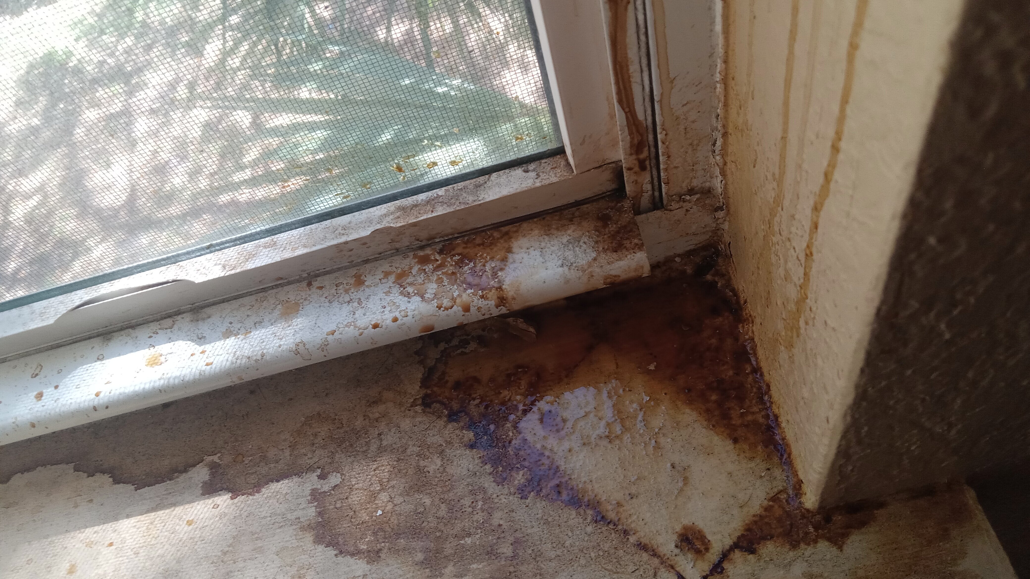 Extended Stay America Select Suites - Orlando - Maitland - Summit Tower Blvd-客卧