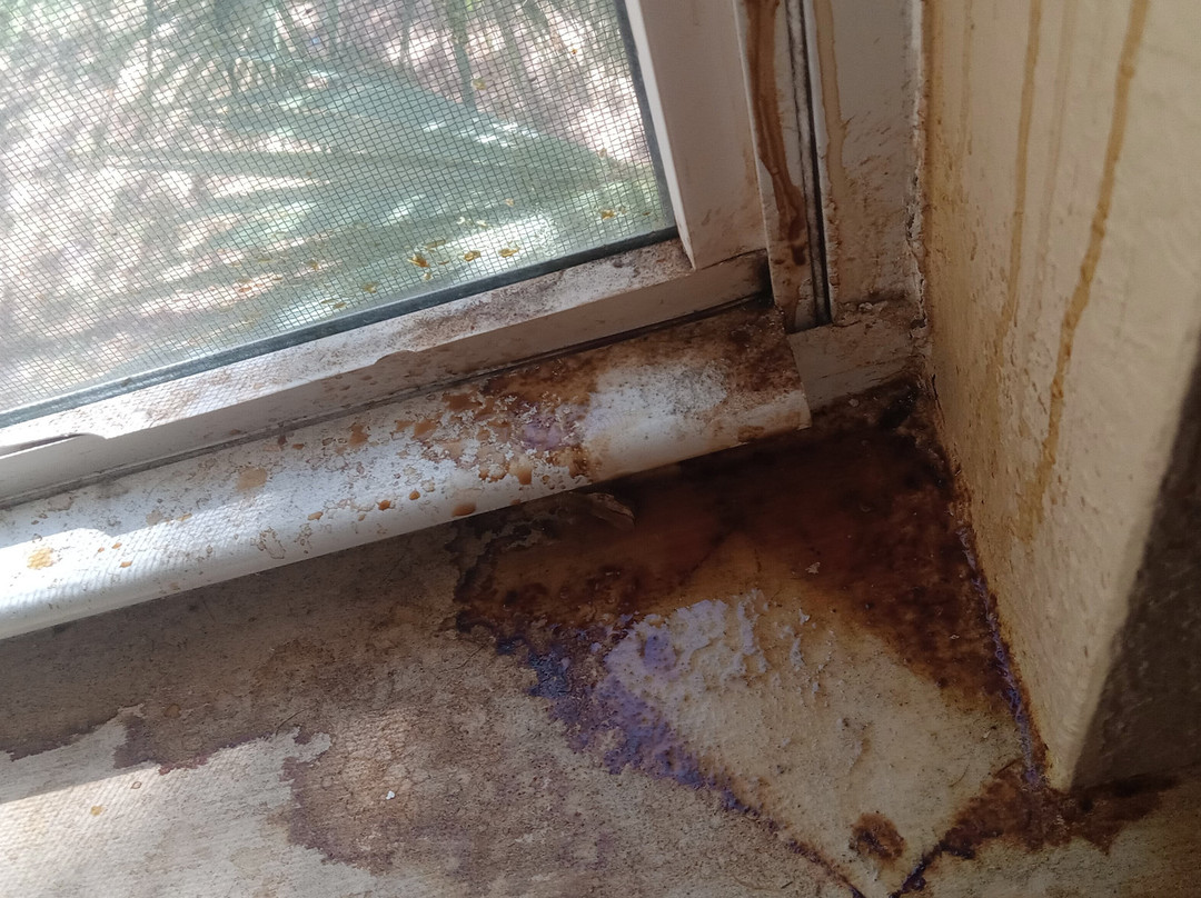 Extended Stay America Select Suites - Orlando - Maitland - Summit Tower Blvd主图