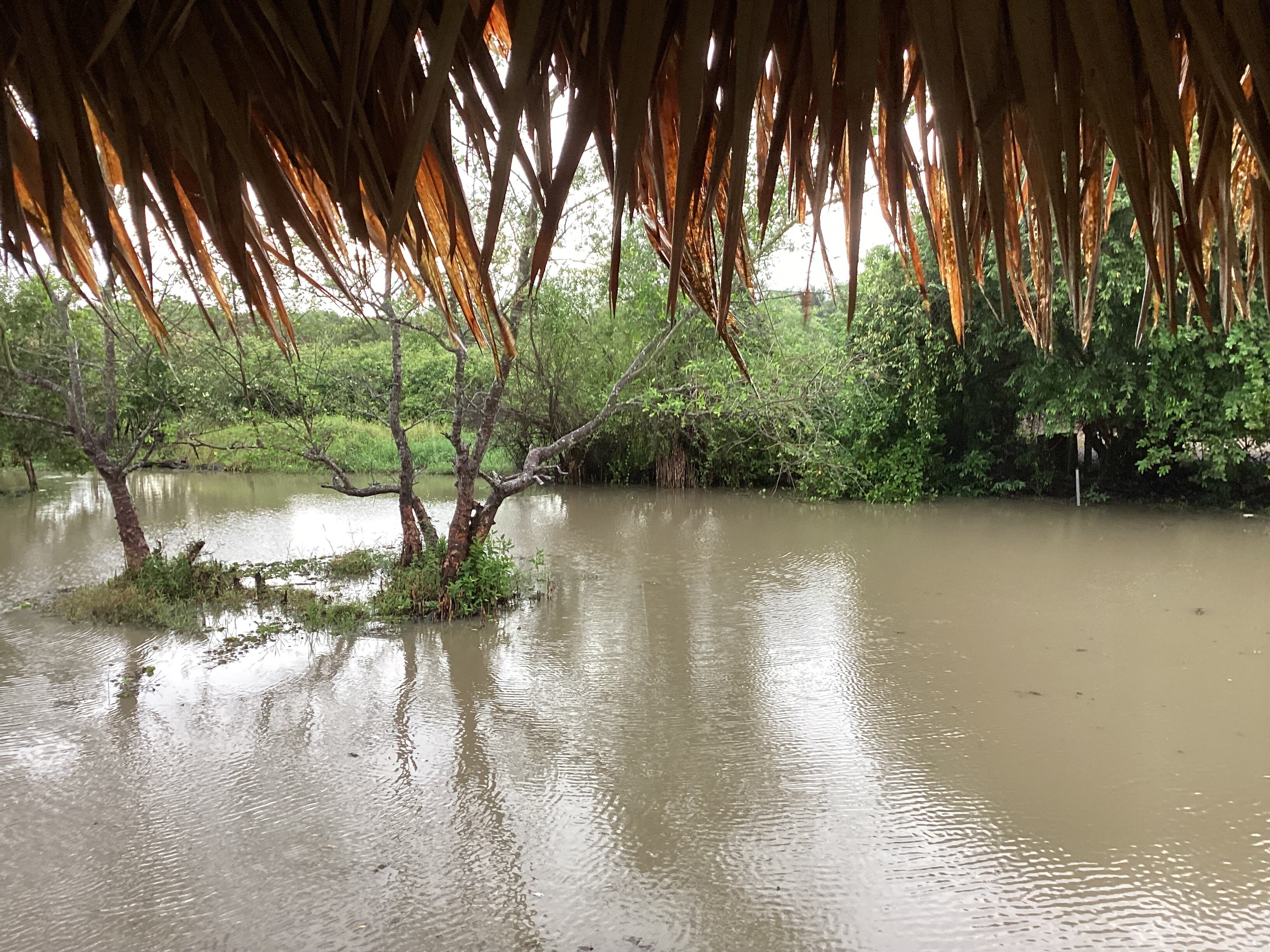 Sri Pakpra Boutique Resort Phatthalung-酒店景观