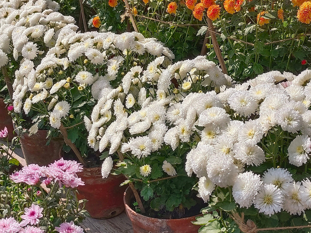 Villas & Fun Hospitality-那格浦尔必去景点