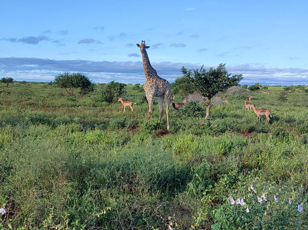 JSL Transport-库马堤港必去景点