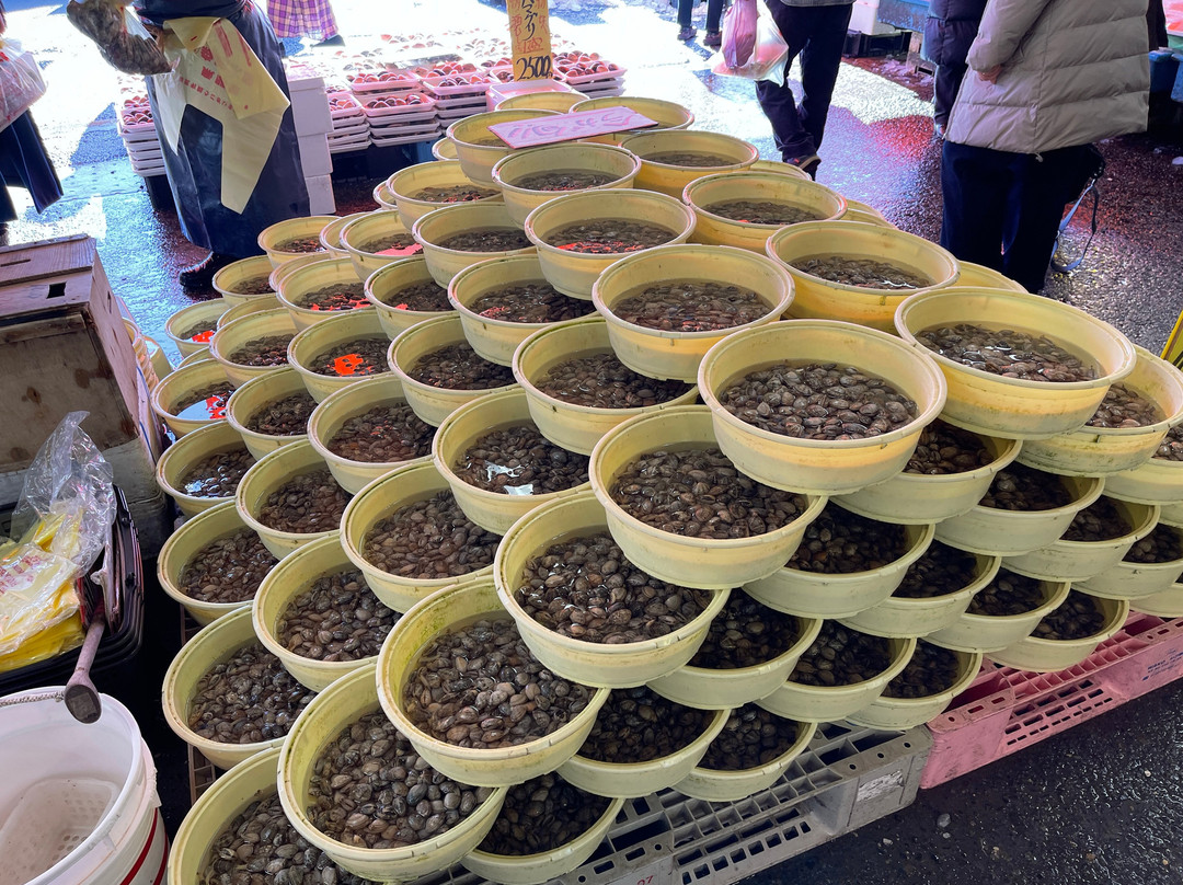 Nakaminato Fish Market-常陆那珂市必去景点