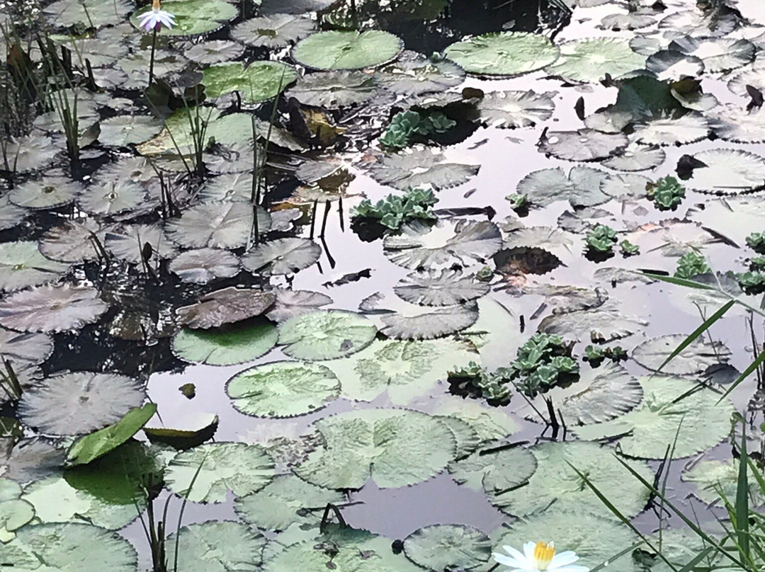 萨卡威度假酒店主图