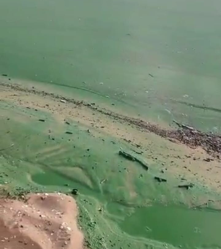 Balneario Las Cañas-弗赖本托斯必去景点