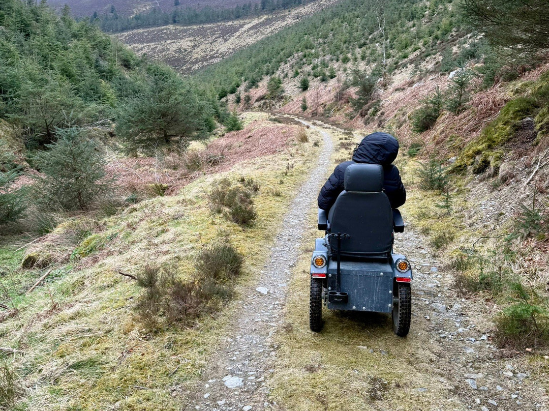 Whinlatter Forest-Braithwaite必去景点