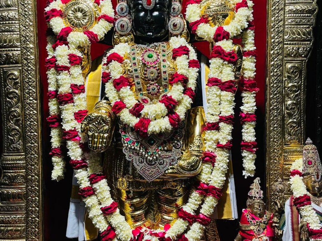 Sri Vijaya Venkateswara Tirupati Balaji Dhaam景点图片