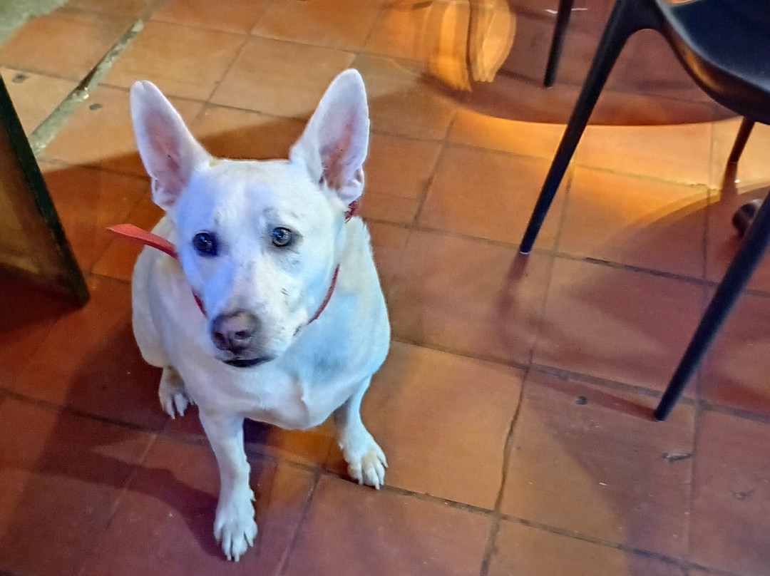 Plaza Mayor-莱瓦镇必去景点