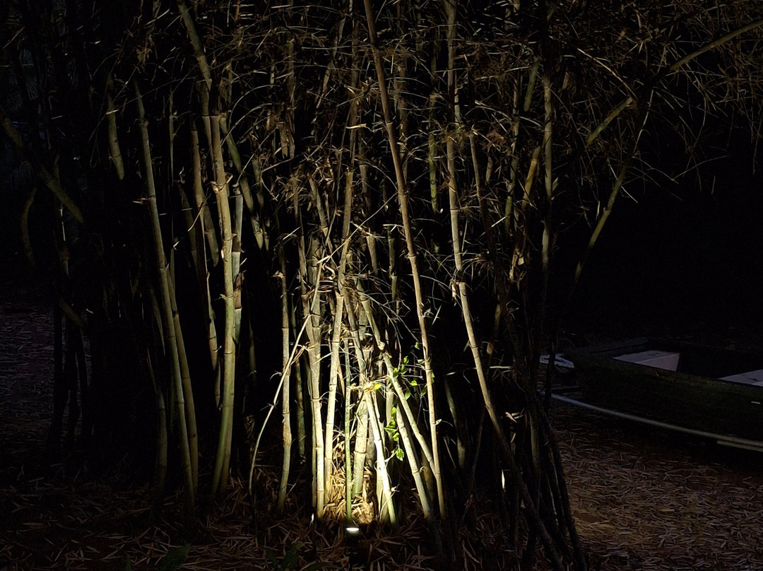 The Serai Kabini主图