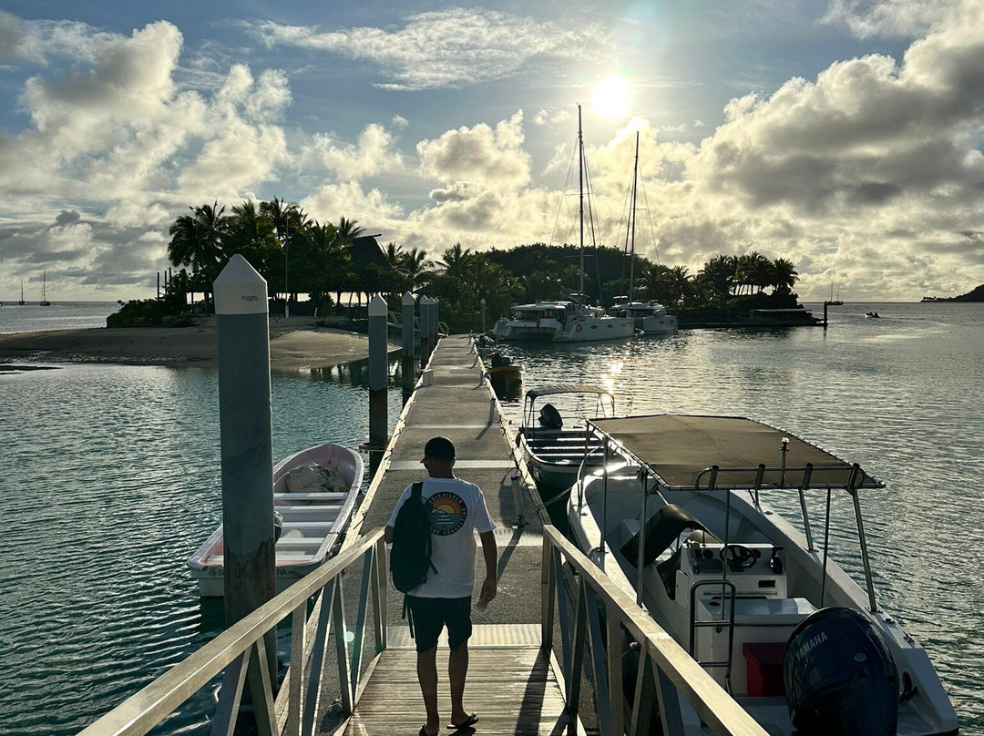 Musket Cove Yacht Club Island Bar景点图片