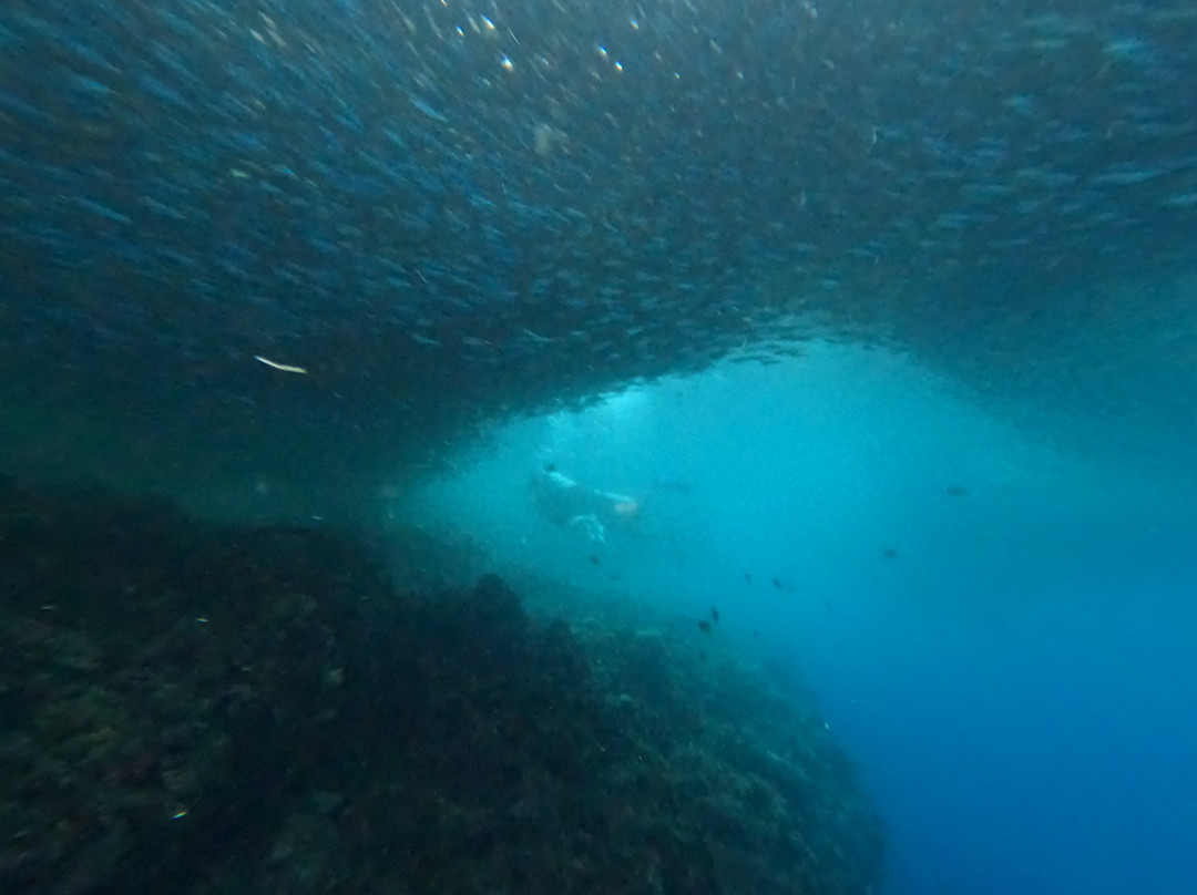 Green Dive-塔拉瓦环礁必去景点