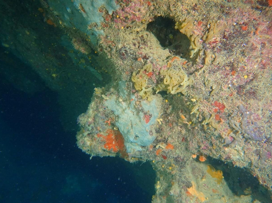 Diving Yoghi景点图片