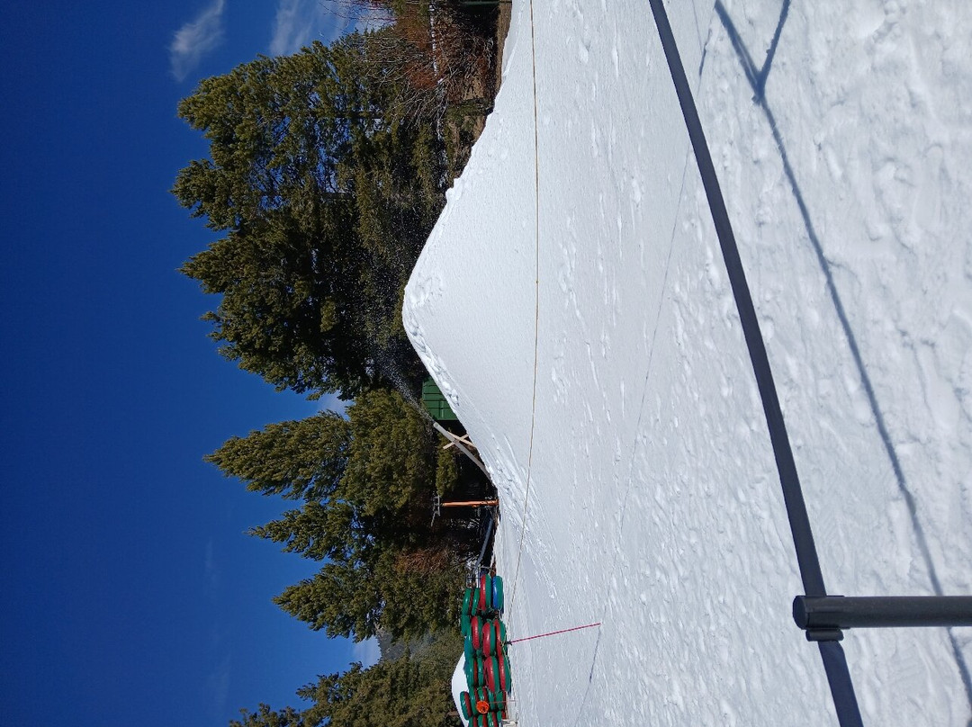 South Lake Tahoe Ice Arena-南太浩湖必去景点