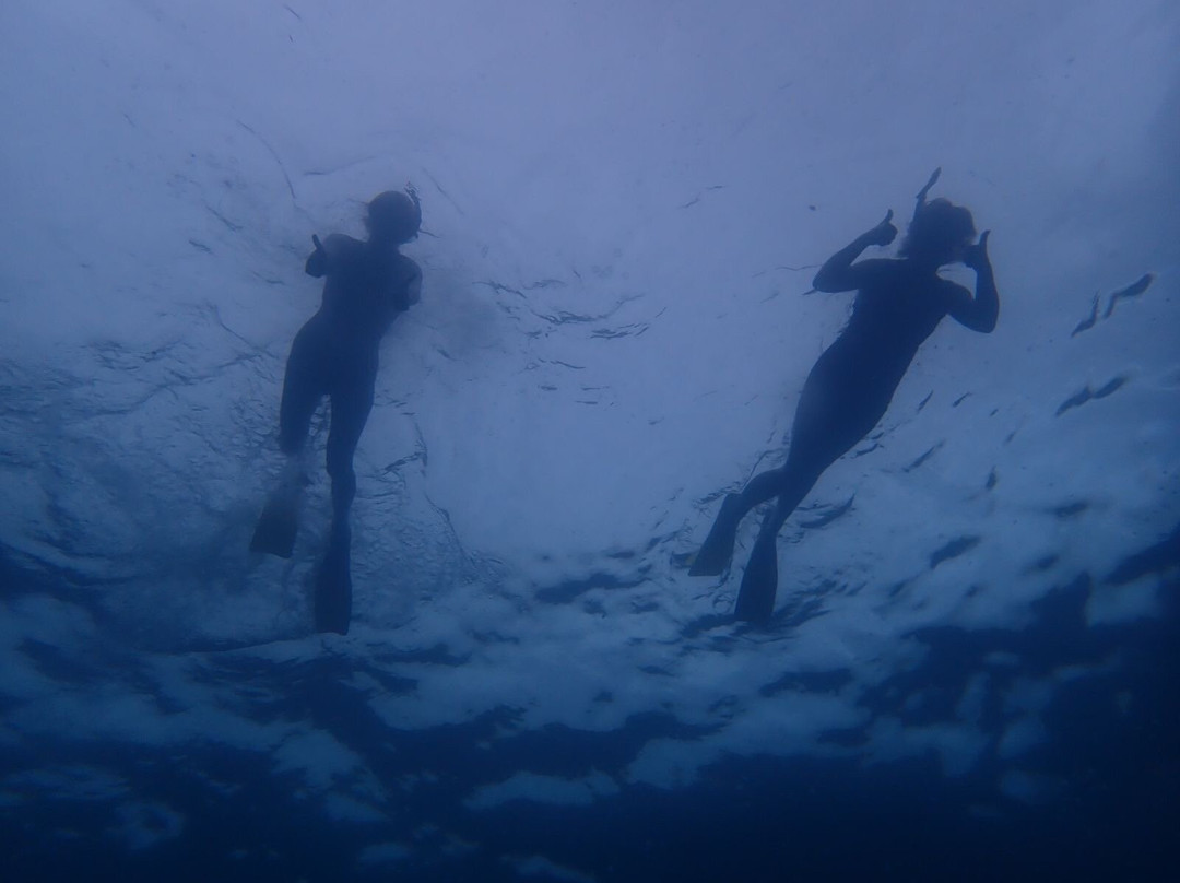 Snorkel Tobago-克朗波因特必去景点