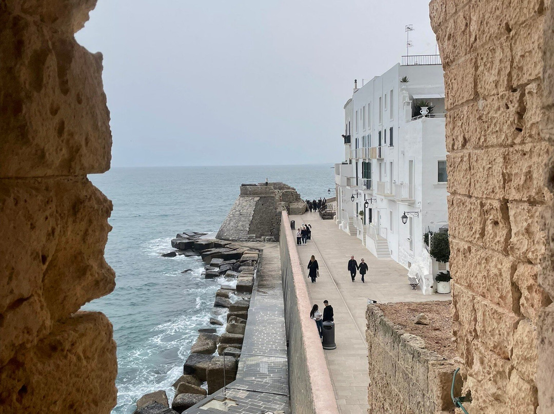 Castello di Carlo V-莫诺波利必去景点