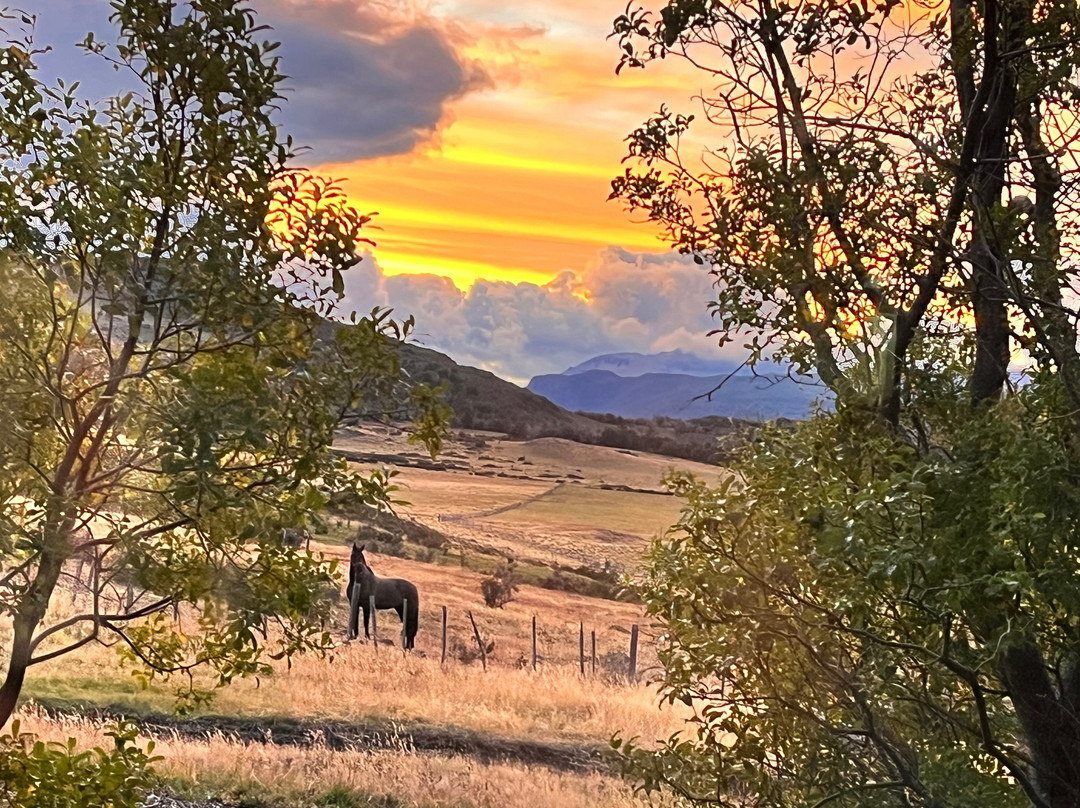 Cinco Rios Lodge主图