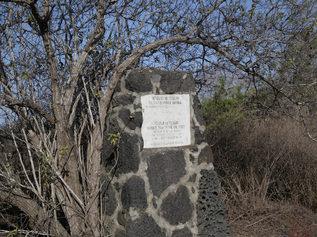 Sullivan Bay景点图片