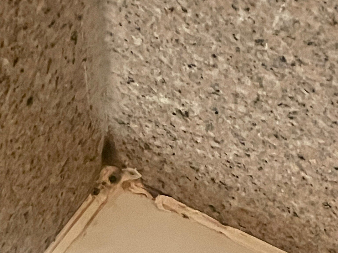 Holiday Inn Express & Suites Altus By IHG主图