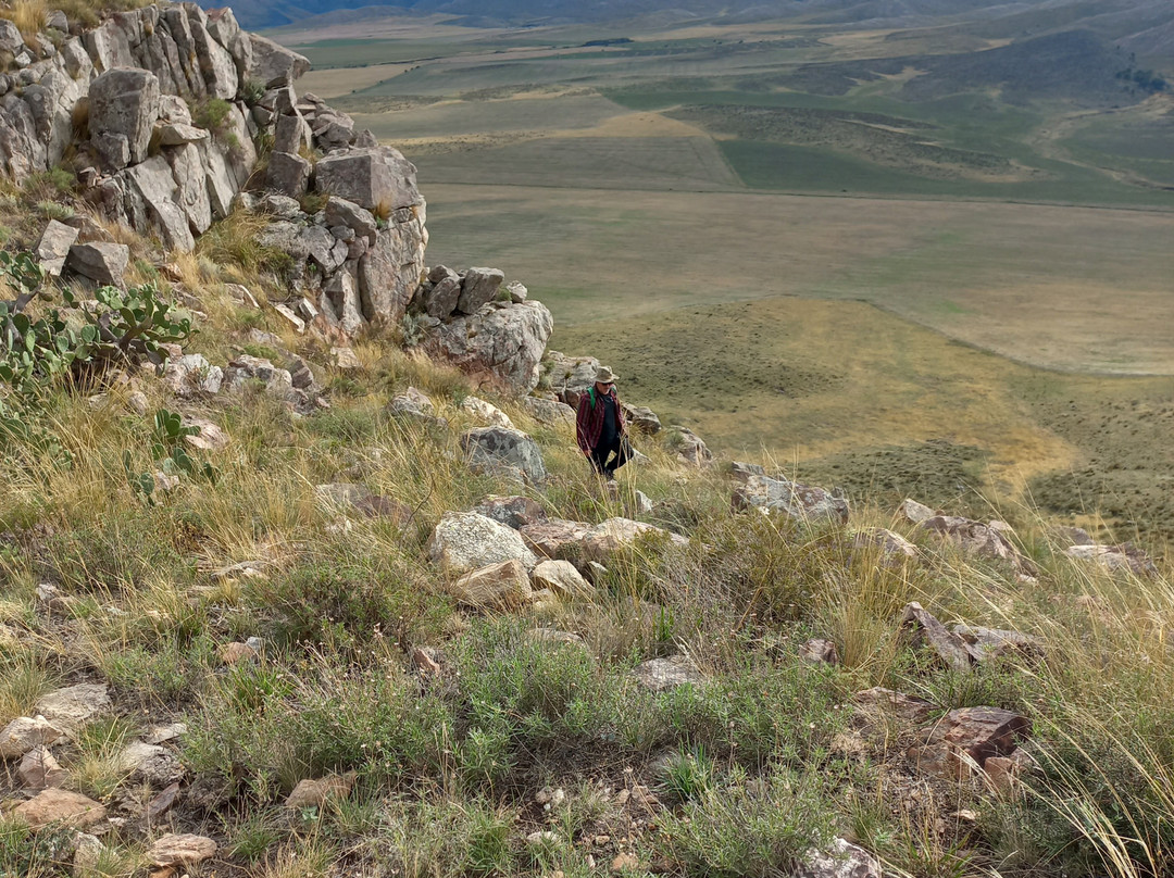 Cerro Pan De Azúcar
