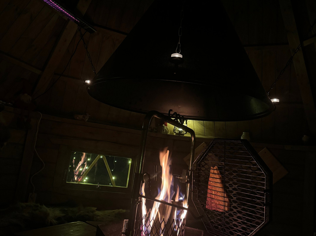 Wild Blueberry-罗瓦涅米必去景点