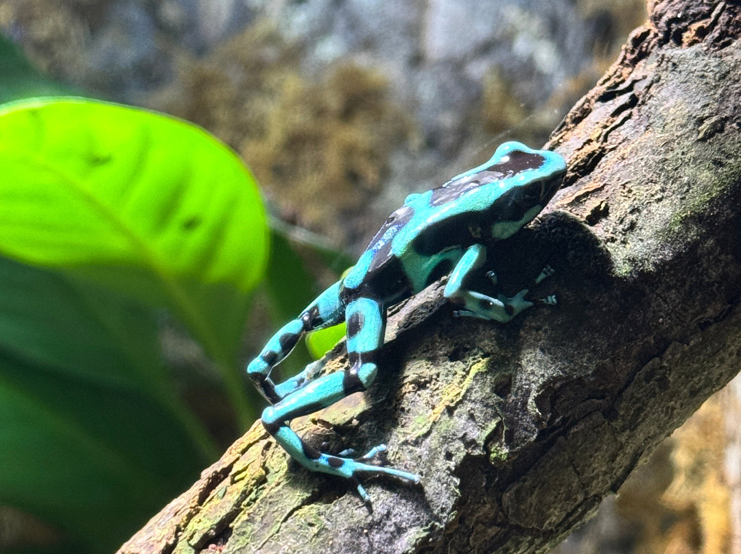 Discovery World-密尔沃基必去景点