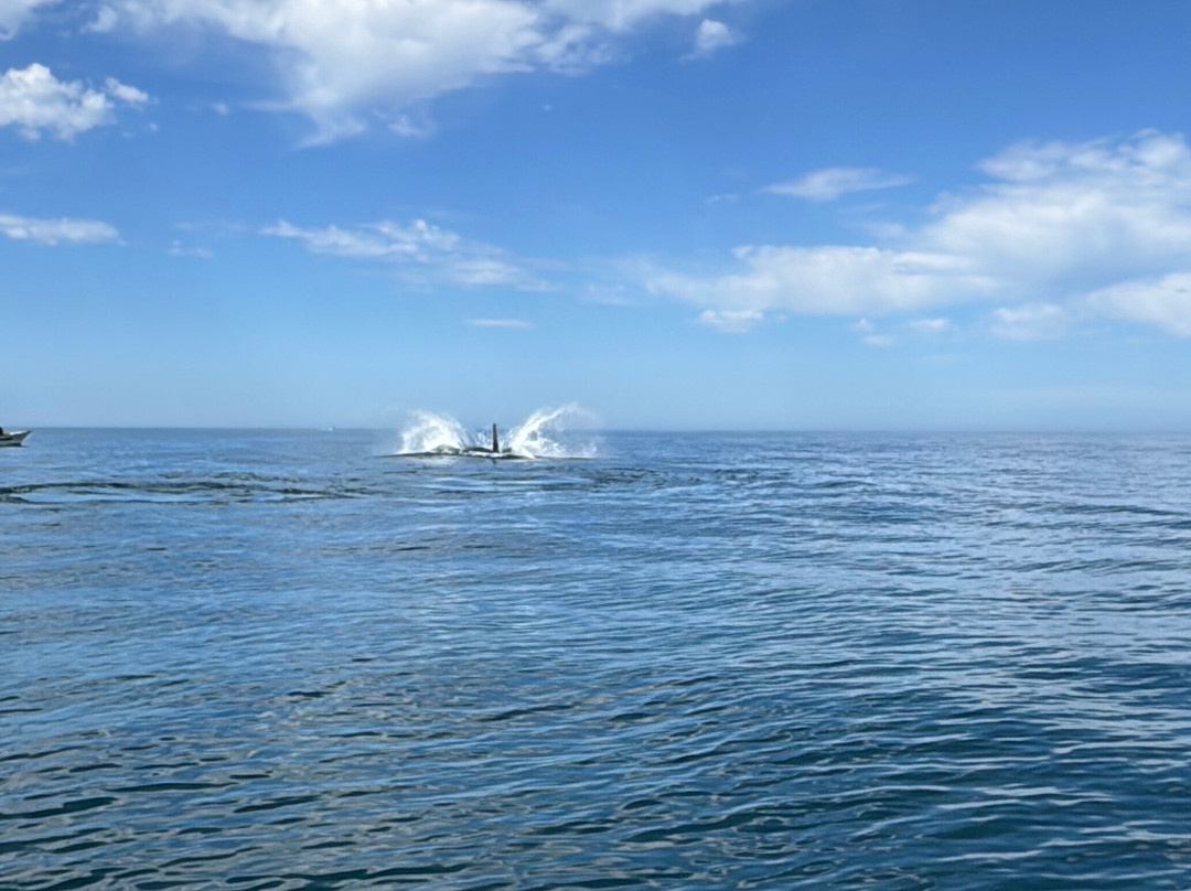 Cabo Pulmo Sport Center-Cabo Pulmo必去景点