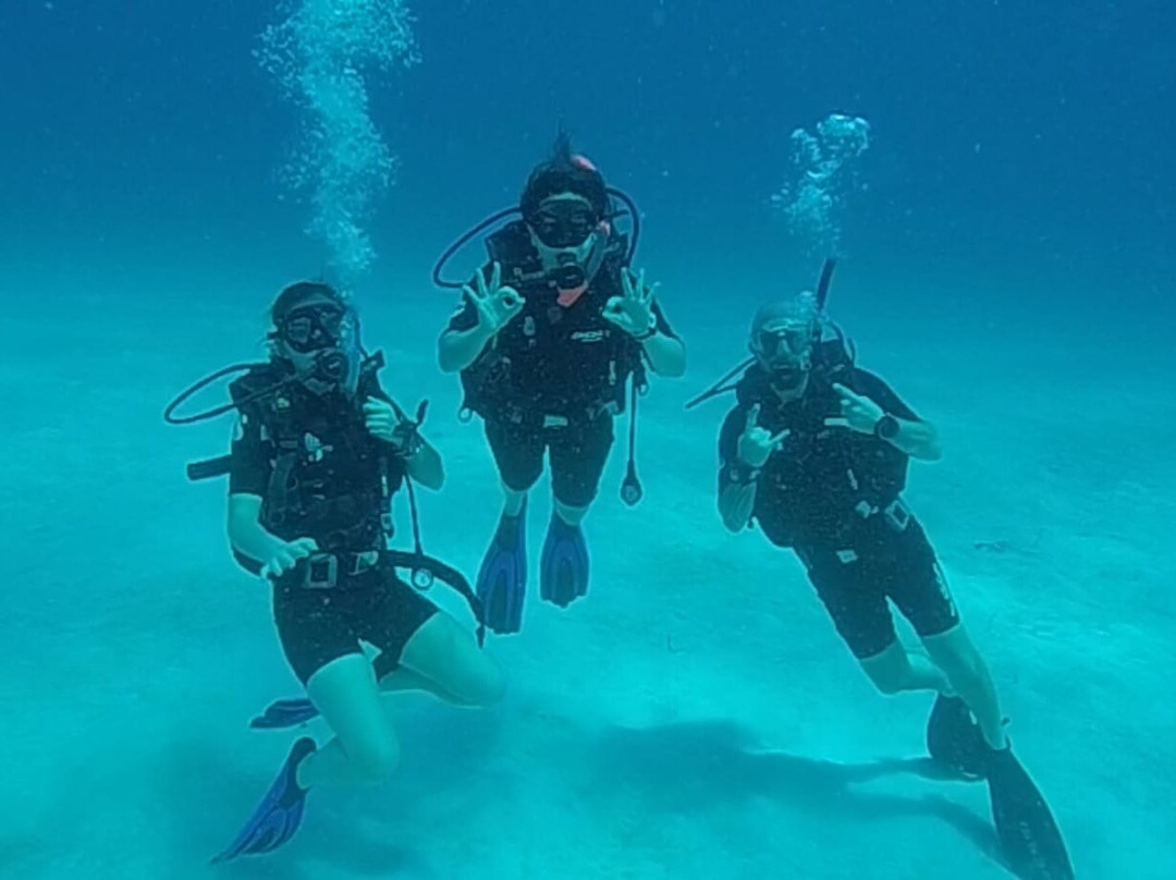 Just Diving景点图片