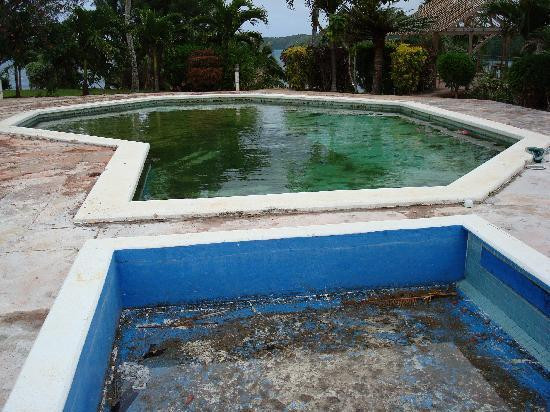 The Paradise International Hotel主图