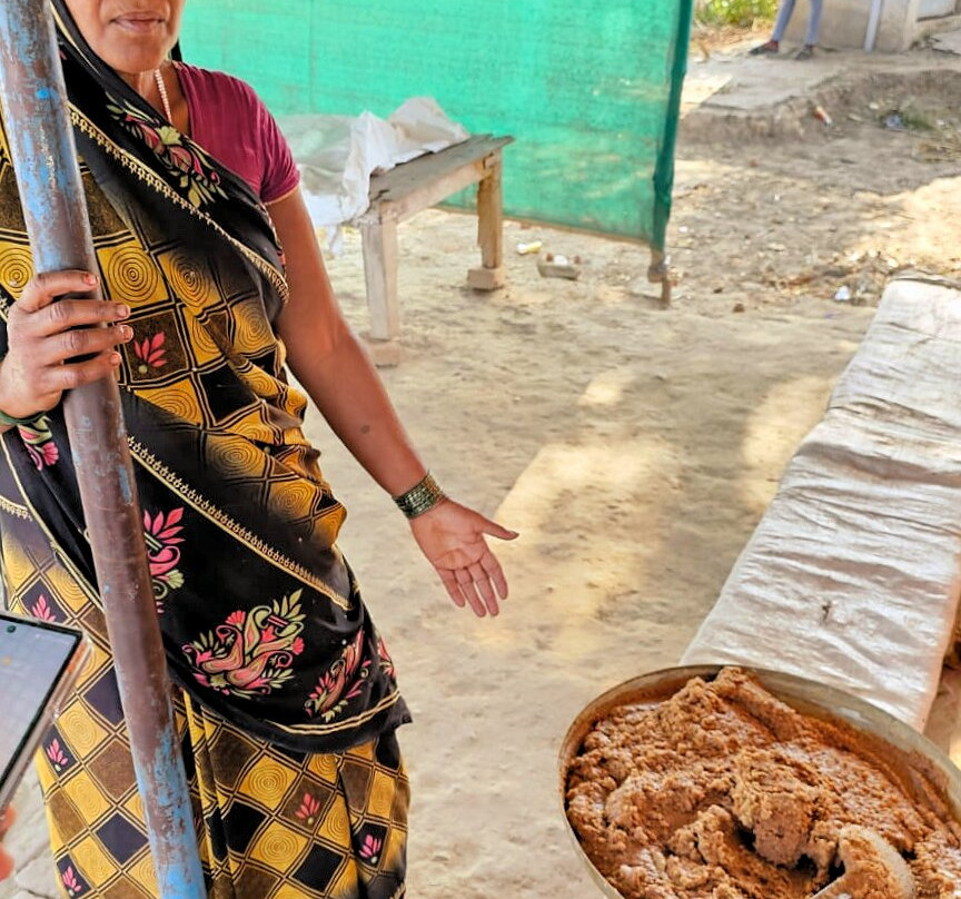 Atul Godha (Tour Guide of India)-乌代布尔必去景点