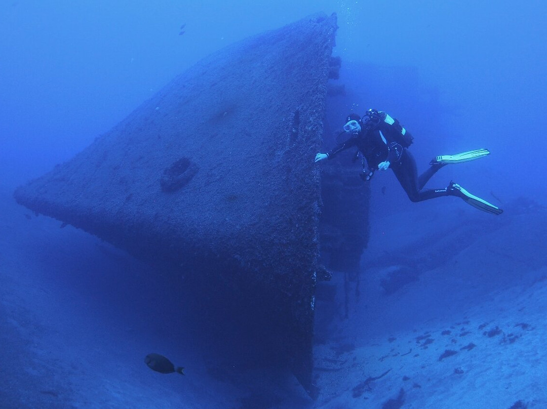 Sub-Tropic Adventures-Jamestown必去景点