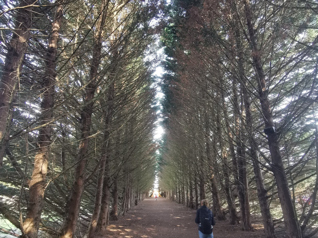Wyvernwood景点图片