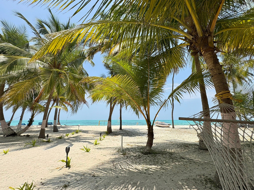 Coral Paradise Beach Resort主图