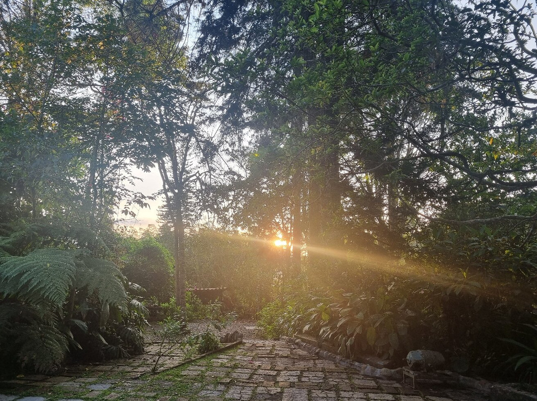 Finca Los Abuelos Concepción