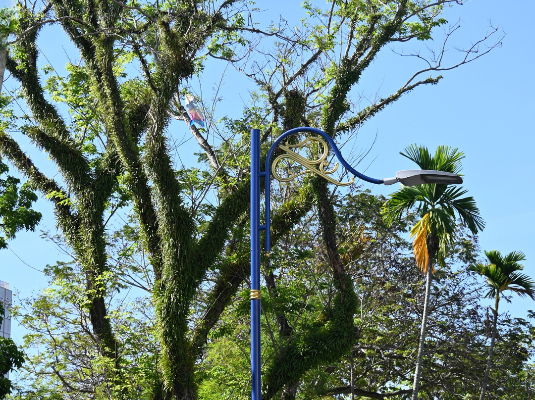 Penang Municipal Park-乔治城必去景点