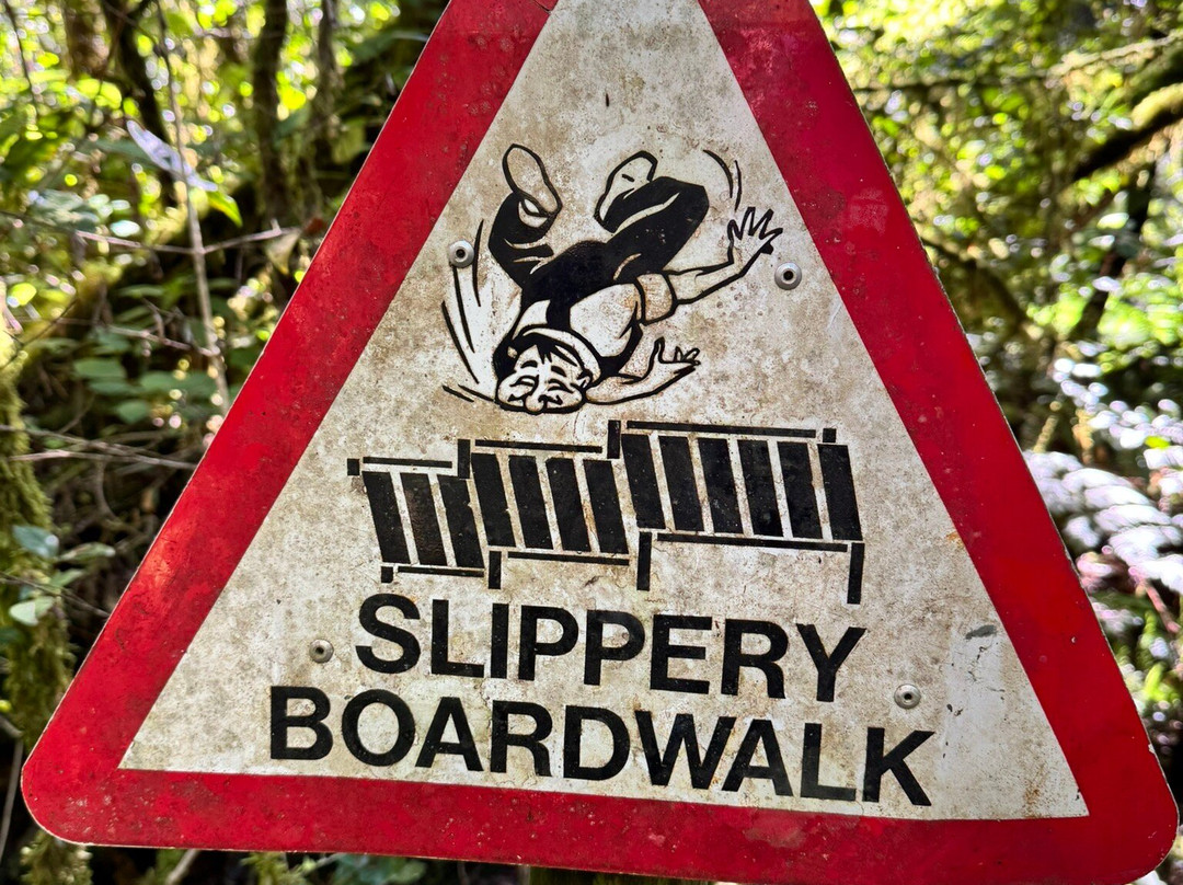 Circles in the Forest Trail-克尼斯纳必去景点