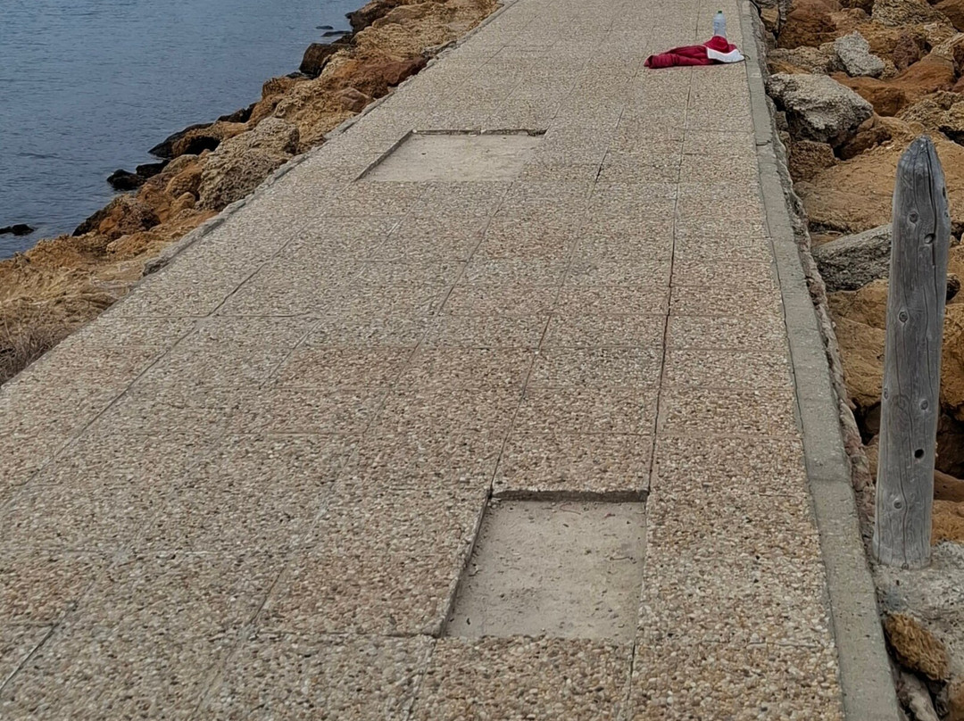 Starboard Harbour Wall-康大维港必去景点