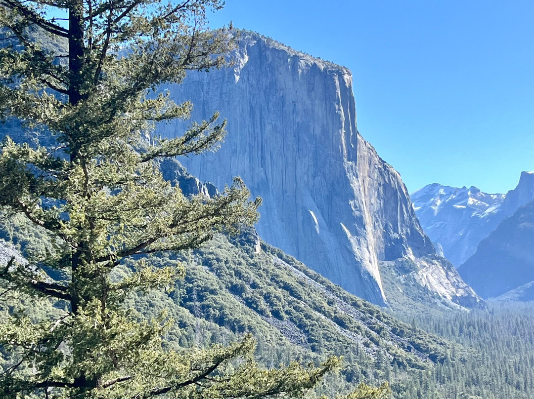 Yosemite 360 Tours景点图片