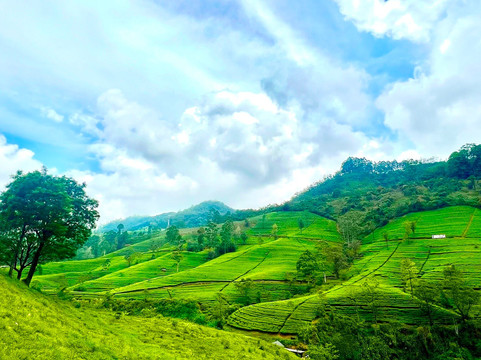 Mr journey-加勒必去景点