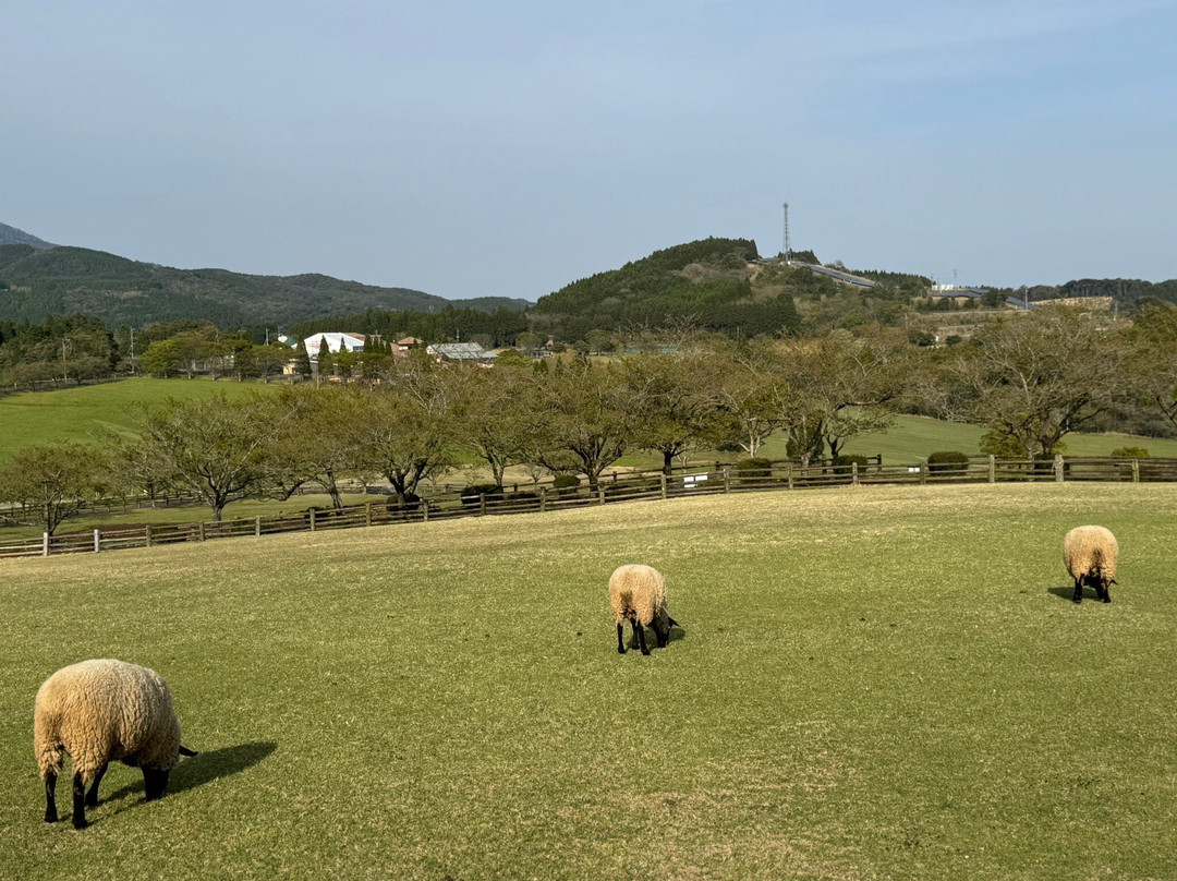 Takachiho Ranch-都城市必去景点