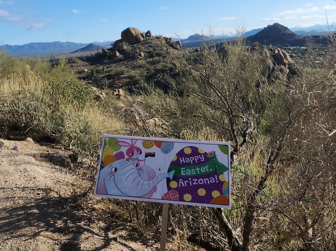 Pinnacle Peak Park-斯科茨代尔必去景点