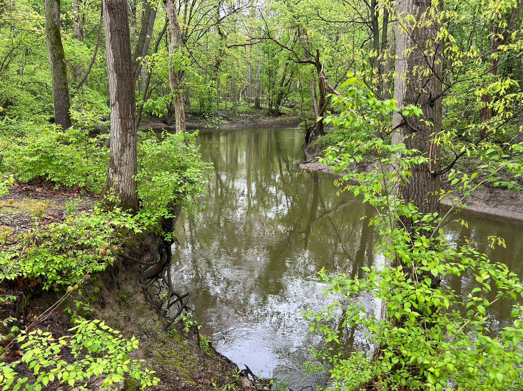 Swan Creek Metropark-托莱多必去景点