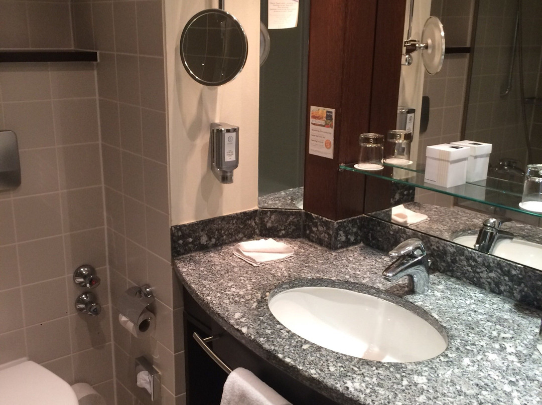 法兰克福-尼德拉德多林特酒店主图