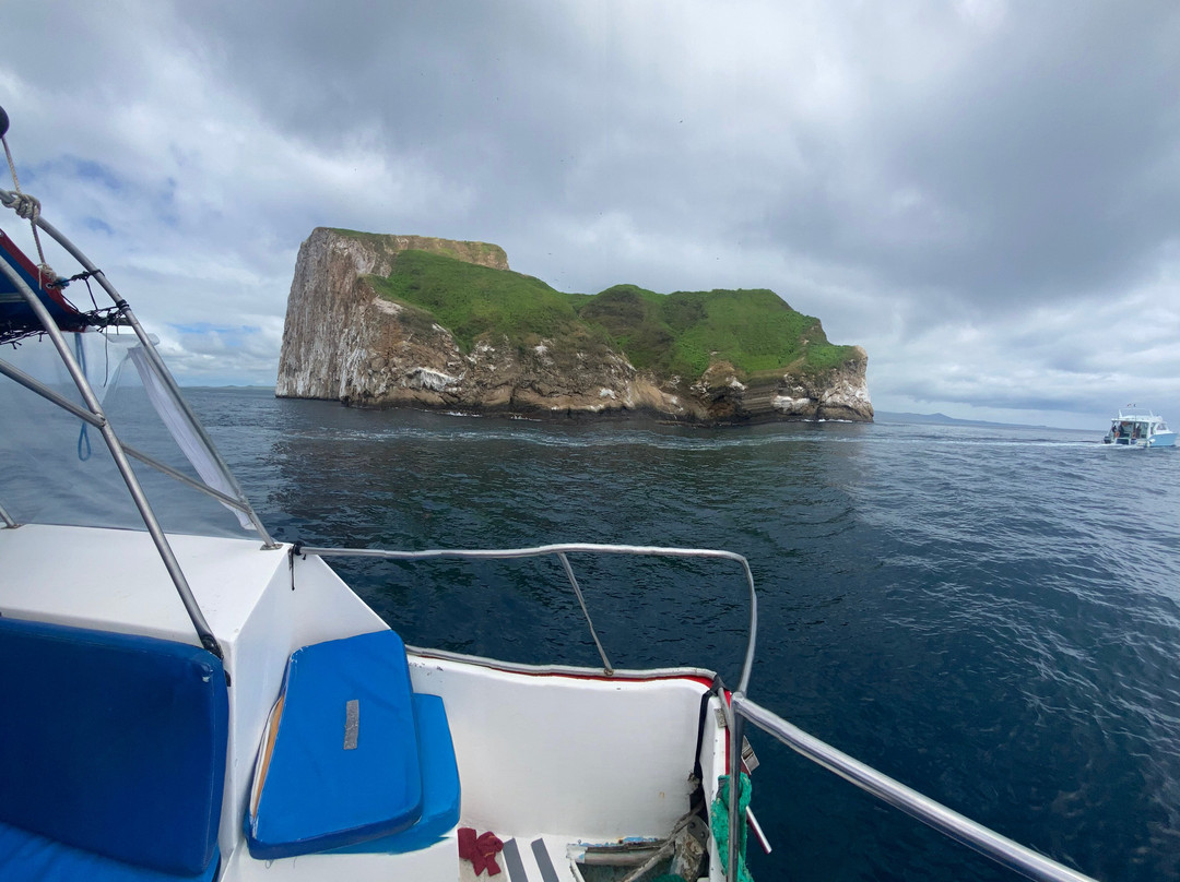 Blue Evolution-Zeeland必去景点