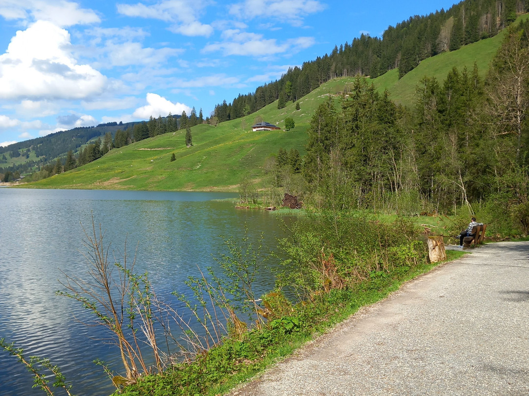 Schwarzsee Lac Noir-施瓦茨塞湖必去景点